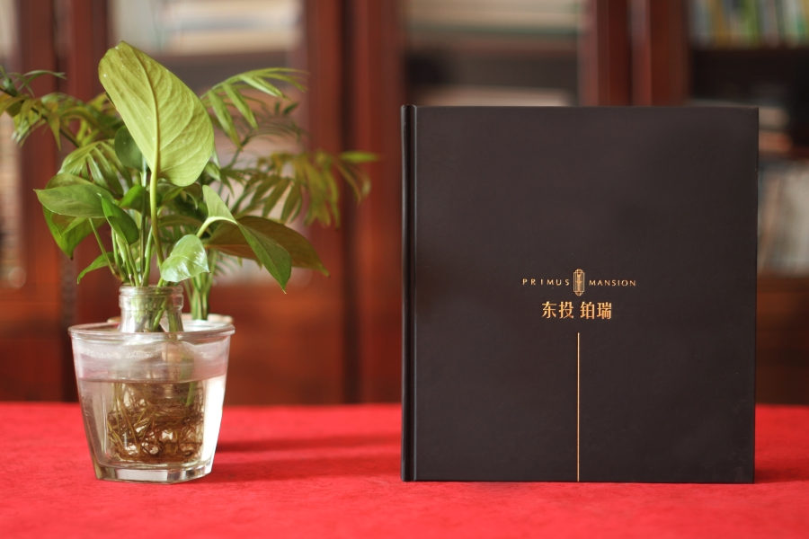 宣傳冊(cè)設(shè)計(jì)這么做，大氣側(cè)漏！